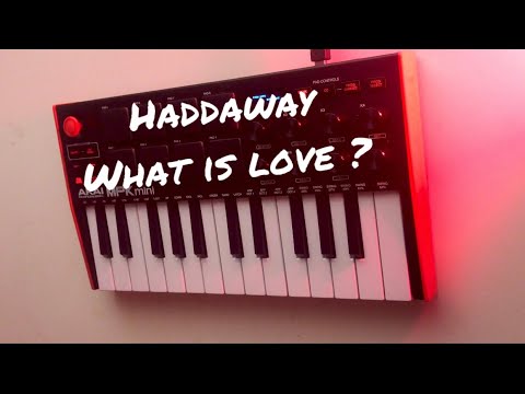 Haddaway - What Is Love Cover
