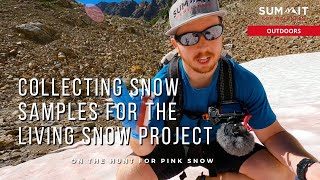Collecting Snow Samples for the Living Snow Project