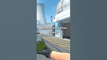 CS2 Rare Molotov Animations! (CS2 Nuke Update!)