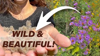 Create a Garden Oasis Using WILD Native Plants!