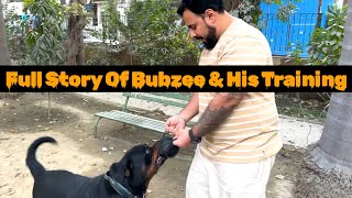 True Story Of Bubzee , His Training & How He Has Grown Into This Character. 