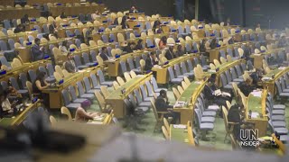 Inside The Un Interpreters Office