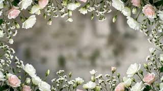 White Pink Rose Flower Frame Seamless Loop 4K No Copyright screenshot 3