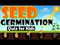 Seed Germination Quiz