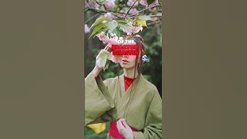 The Meaning Behind ‘Fukushima’ – A Name with a Tragic Twist