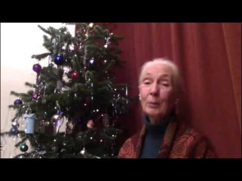 End of Year Message from Dr. Jane Goodall