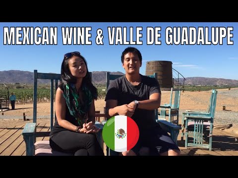 Impressions of Mexican Wine in the Valle de Guadalupe