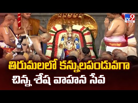 తిరుమలలో కన్నులపండువగా చిన్న శేష వాహన సేవ - TV9 - TV9