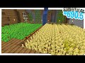 HO DISTRUTTO LE VECCHIE FARM - Minecraft ITA SURVIVAL #690.5