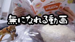【睡眠BGM】3秒おきに食材の名前を言う動画。