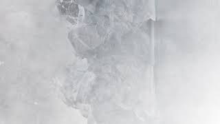 Antarctic Wastelands  Hidden