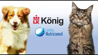 Calmisyn Linha Nutricional König