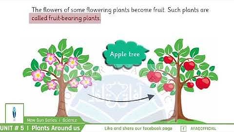 NSS Grade 01 Science Chapter 05