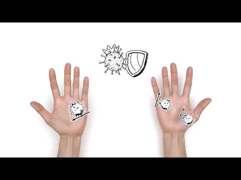 How to Properly Wash Your Hands