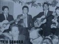 Navojoa 73 trio sonora