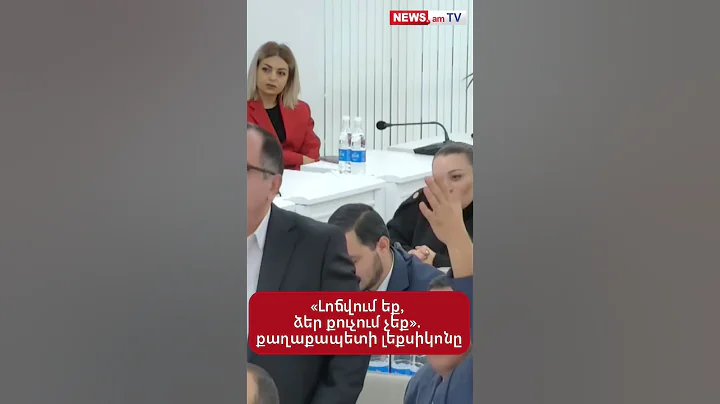 Ավինյանի բառապաշարը՝ ավագանու նիստին