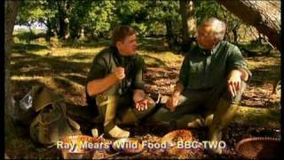Ray Mears Fruit Gums - Tv Burp