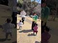 【daily vlop】パパママ娘みんな集合してピクニックをしてきたよ🧺#ママ友　#パパ友