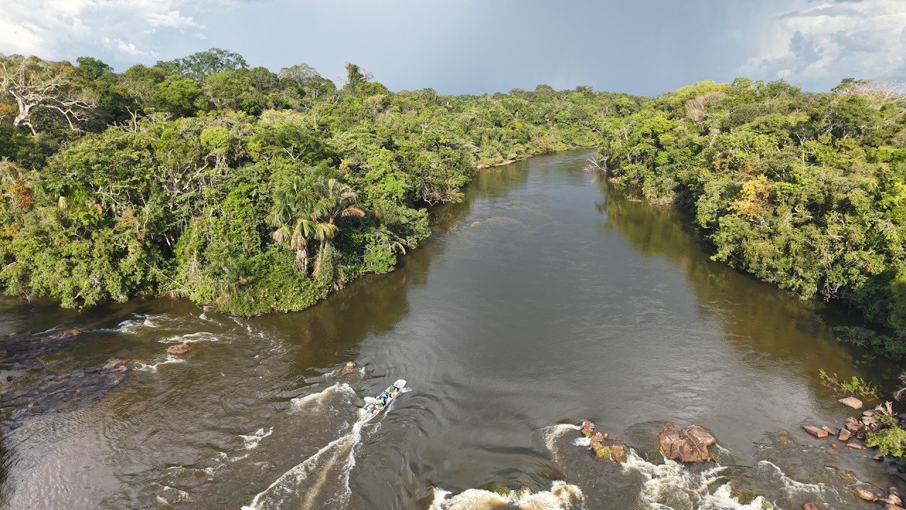 Pesca de Trairon y Tucunare Experiencia Selva en Alto Trombetas , Amazonia