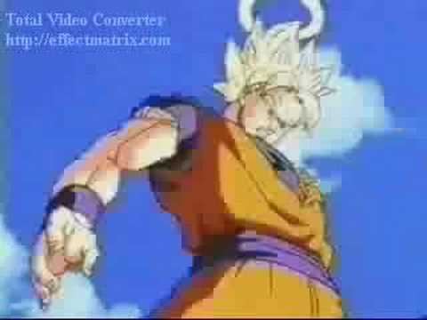 DBZ The kill