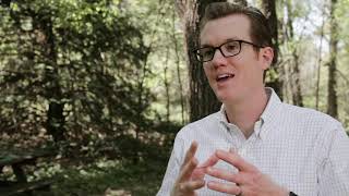 Legacy Legal Overview