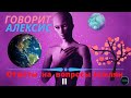 Сеанс регрессии с инопланетянином Алексисом, ответы на вопросы часть 2/3 (регрессолог Марат ГАГАНИН)