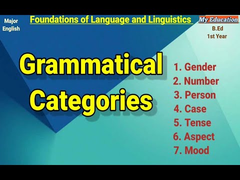 Video: Gezicht Als Grammaticale Categorie