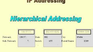 3D Network Training IP Routing and Addressing