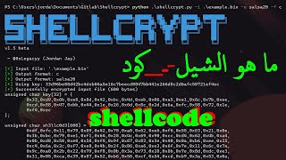 ما هو shellcode