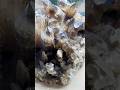 Tea-crystal druse, from the Geological Museum of China #beijing #travel #museum