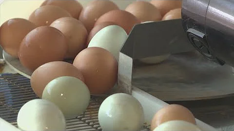 Alternatives that can be used to replace eggs in recipes