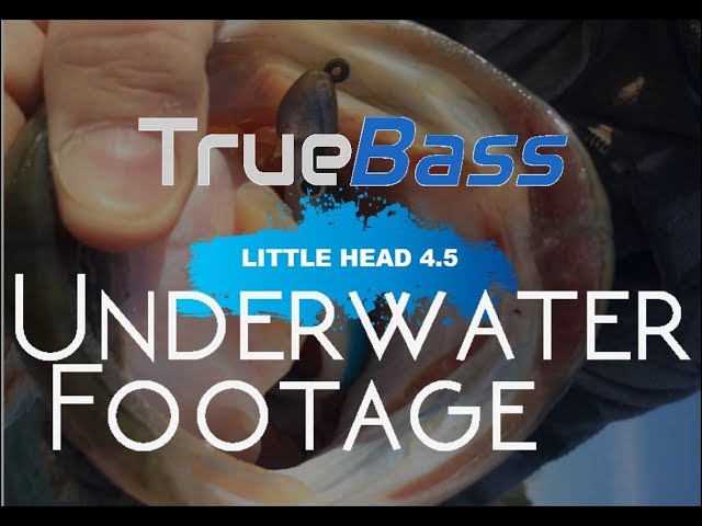 True Bass Little Head 4.5 Green Bean