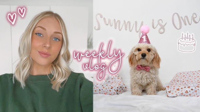 a BIG purchase is coming 😬 & Sunny's first puppy groom! // VLOG #16 