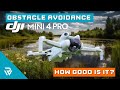 DJI Mini 4 Pro - How Good Is 