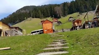 Medi̇ne Yolu ---Dolanir Başim Dolanir