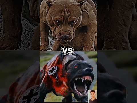 Pitbull vs German Shepherd,Siberian Husky,Great Dane dogs fight🥵😈 #shorts #viral #fight #trend