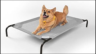 7 Amazing Dog Beds Sold On  May 2022