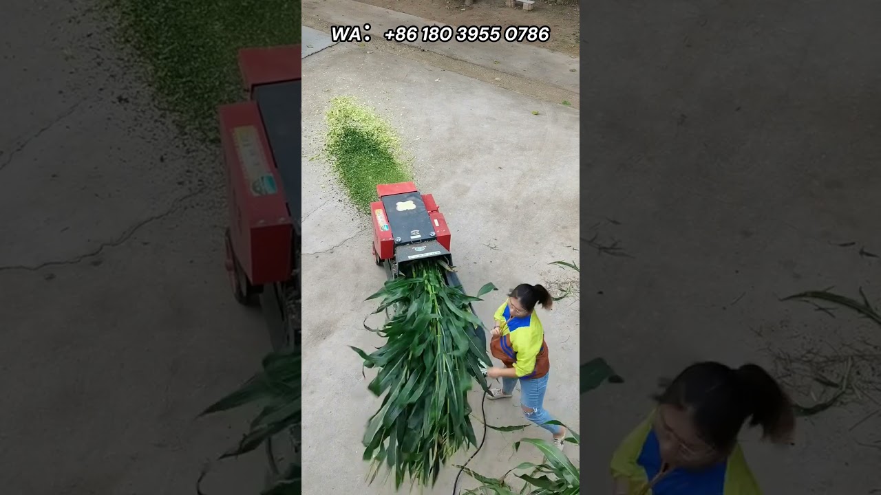 Horizontal grass cutter, crush corn stalks, rice straw, livestock feed