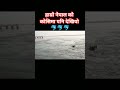 🐬 breaking news hamro Nepal ko Koshi nadi maPani dekhin thaleko xa Dolphin pleaseviralvideos