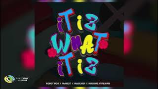 Robot Boii, Mavest and MaSilver - IT IZ WHAT IT IZ [Feat. malume.hypeman]