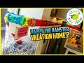 HAMSTER VACATION HOUSE?! Happy the Hamster NEW UPGRADE!