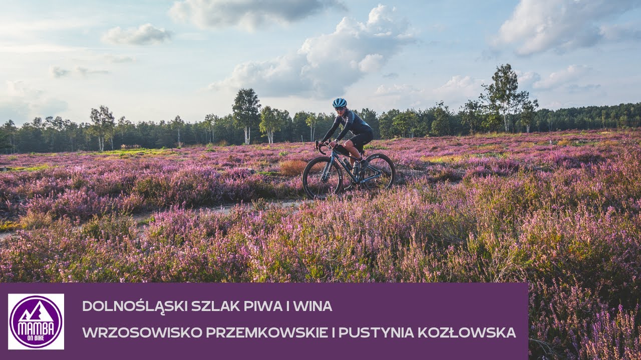 Dolnośląski Szlak Piwa i Wina - rowerem między winnicami, wśród wrzosów i po pustyni