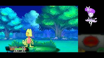 Pokemon Omega Ruby - first time playing (part 3): the first Gym leader match and rescuing Peeko