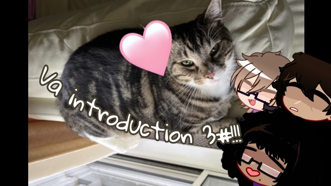 Sweetly Meant To Be | VA Introduction 3#!!!