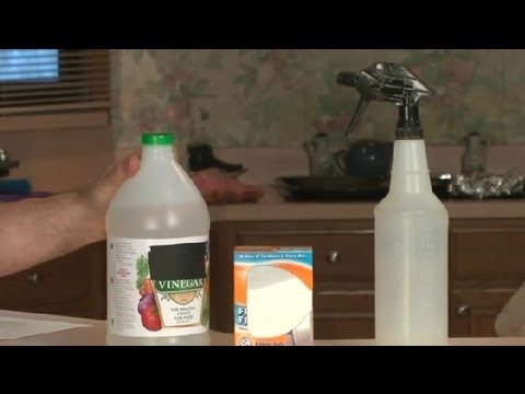 Video: Kaip Namuose Valyti Kilimą Su Soda Ir Actu: Apžvalgos, Sprendimų Receptai + Vaizdo įrašas