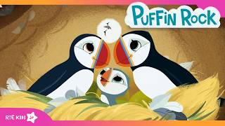 Family Adventures with Oona and Baba 🧡 | Puffin Rock | Friday MOVIE NIGHT 🍿 | @RTÉKIDSjr