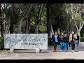 Periodismo en la Complutense: de la expectativa a la realidad