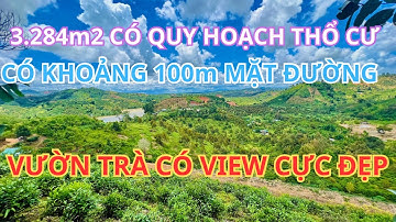 🔴(188) Bán Vườn Trà Có View Triệu Đô Và Quy Hoạch Thổ Cư | Bất Động Sản Bảo Lộc