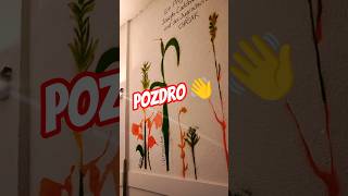 Dziwny dla Innych... #polakzagranica #motywacja #shorts #dlaciebie #inspiracja