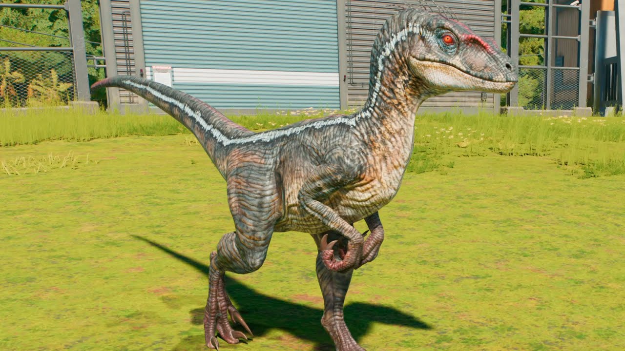 Jw3 Raptor CUIDADO CON EL RAPTOR | Jurassic World Evolution 3 - YouTube